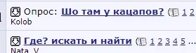 333.webp