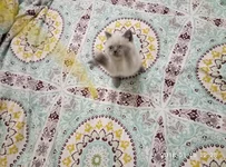 P80110-122823.webp