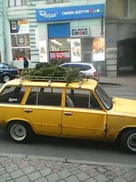 Photo0204.webp