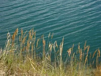 22.webp