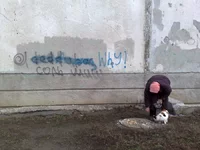 12345.webp