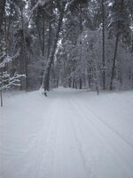 IMG_20180121_103927.jpg