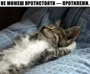 38BCC8D7-F512-40B4-93DE-6E0912C65EFC.webp