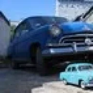 wolf-gaz21