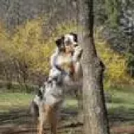 Настенька =)