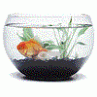 Difi44