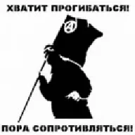 goga504