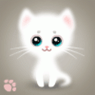 pushok_pushok