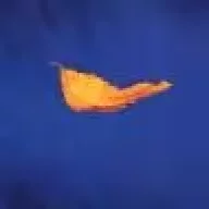 djuf