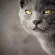 skylu