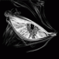 DemongD