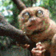 Che-burashka