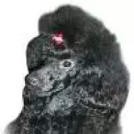 N-Umka