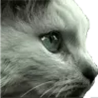 vasso