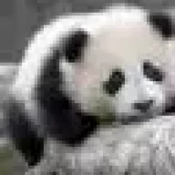 Mike_1.9.7.5