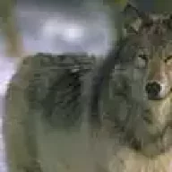 Валентин2410