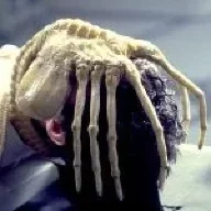 facehugger
