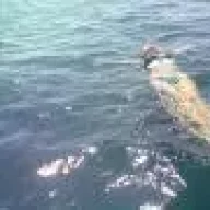 ВАЛЮСИЧЕЧКА