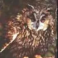 Sov