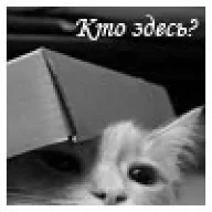 Євгений