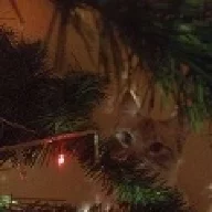 LuckуMe