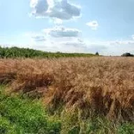 ОнСамыйБро
