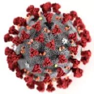 SARS-CoV-2