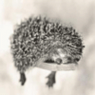ezhov