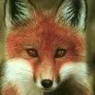 anima_79