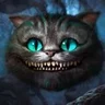 Кот