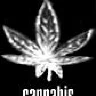 Cannabis