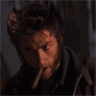 wolverineX
