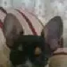 mawika