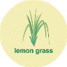 Lemongrass