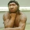 bambilo