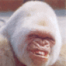 seekerman