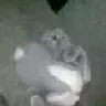 Fishka 22