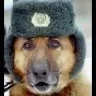 Вещий