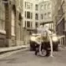 муся-1961