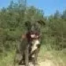 Zlatik