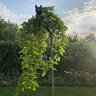 МандриLove