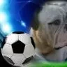 ATMAN