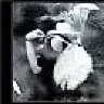 RA_