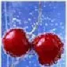 cherry_ev
