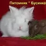 Bysink@