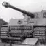 T-VI TIGR