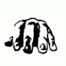 denwer_