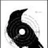 CROWHANTER