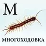 Emogop