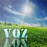 vQz